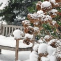 Welk tuinmeubilair kan in de winter buiten worden gelaten?